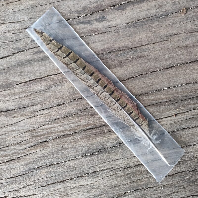 CMF Pheasant Tail B-Grade, CMF Fly Tying Materials, Pheasant Tail flr fly Tying, Fly tying Materials
